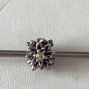 Rare Retired Pandora Edelweiss charm